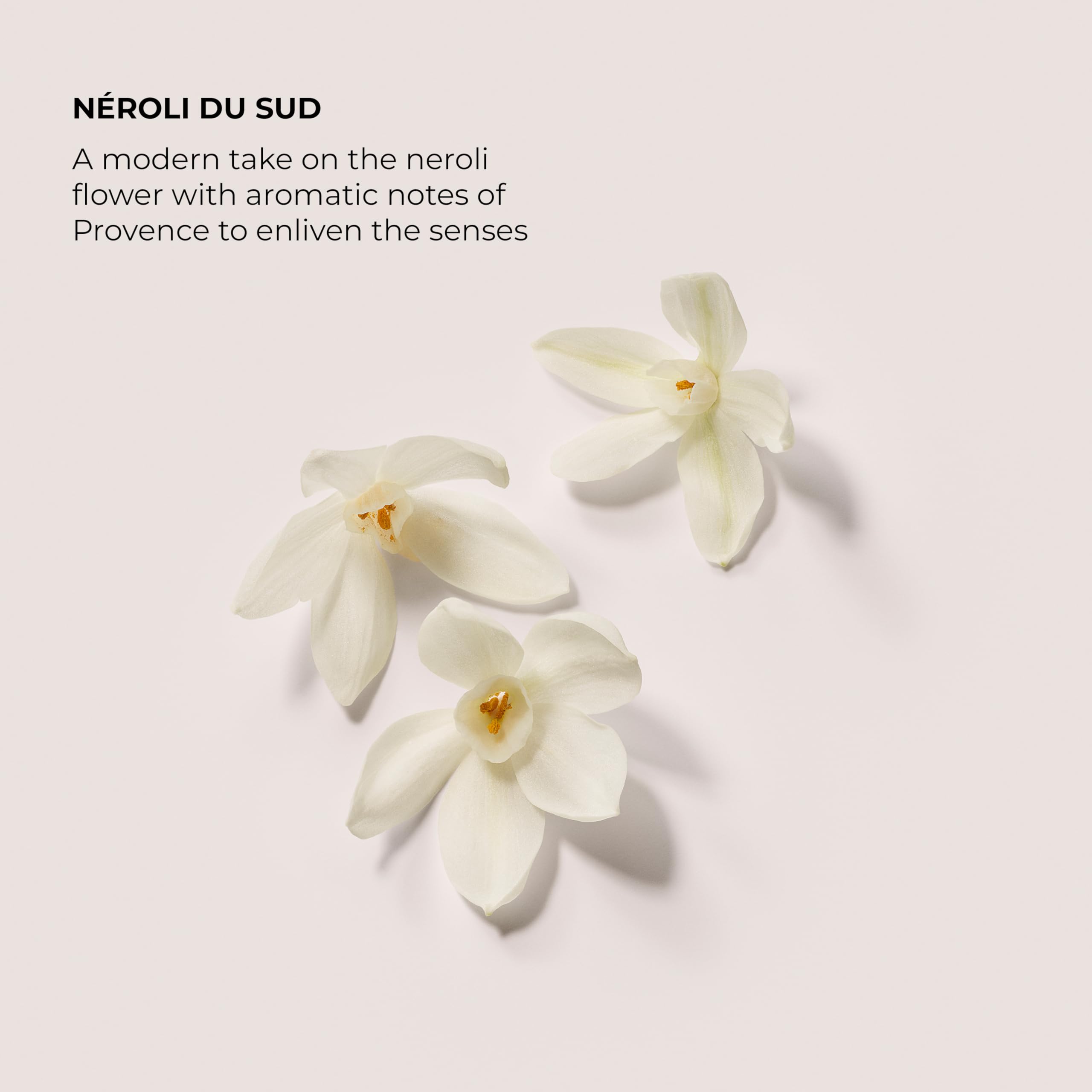 Laura Mercier Neroli du Sud Souffle Hand Cream 1.5oz (50ml) - Sense42 Beauty and Health
