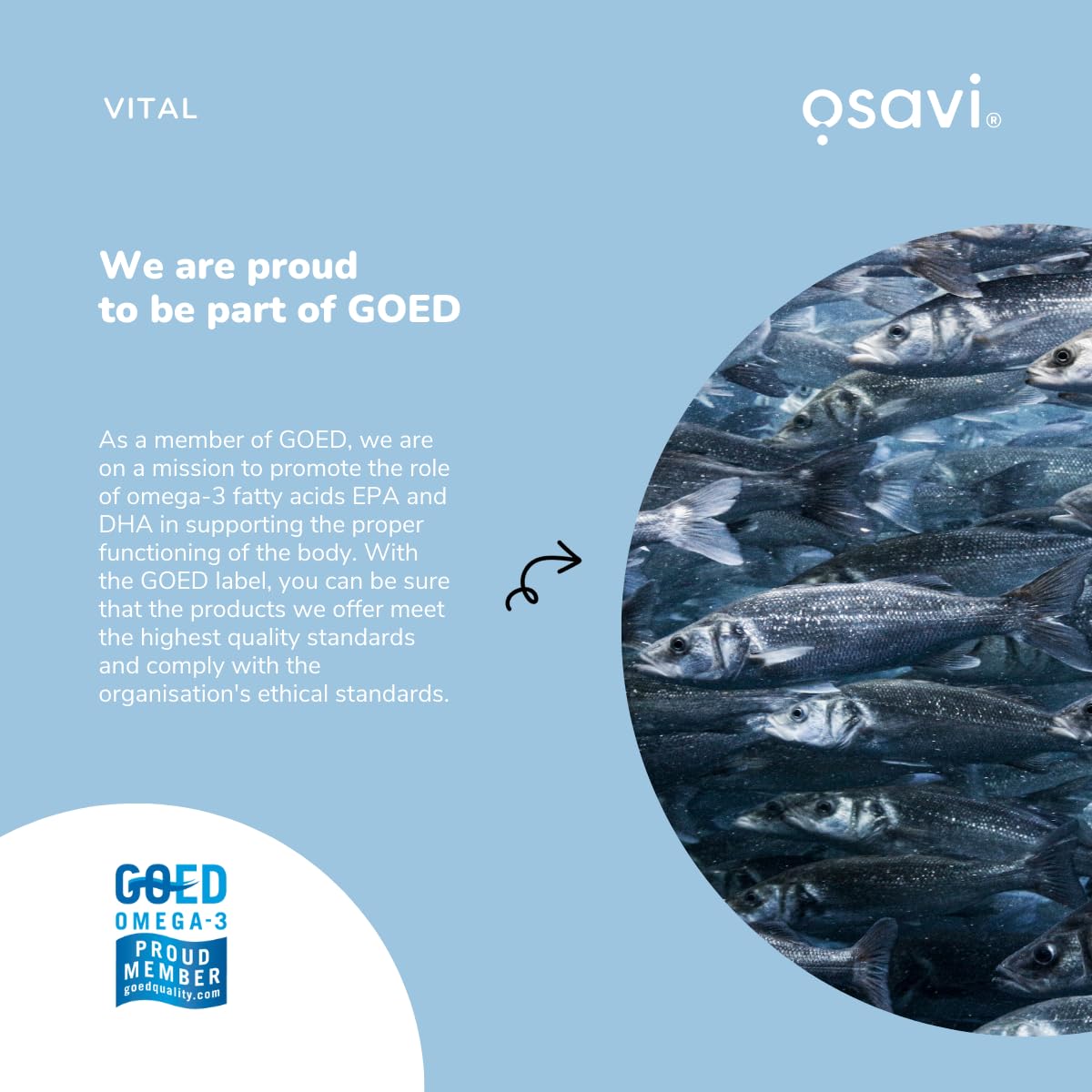 Osavi Omega–3 Fish Oil Molecularly Distilled 1000 mg – 120 Softgels | Lemon Flavor
