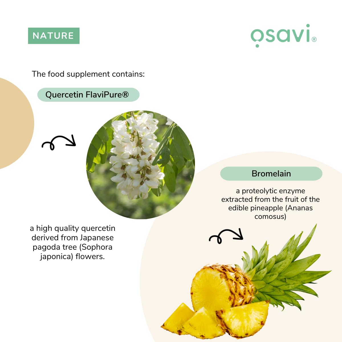 Osavi Quercetin with Bromelain – 60 Vegan Capsules