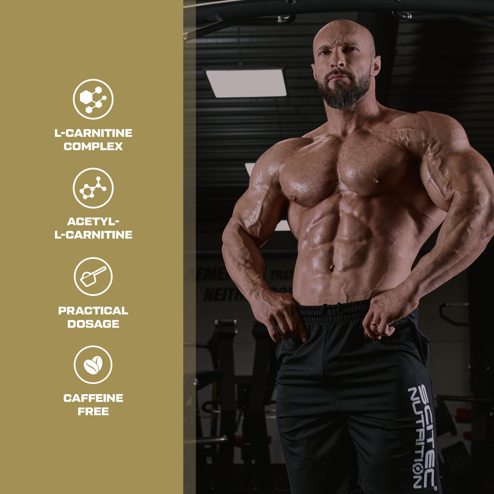 Scitec Nutrition Carni Complex – Advanced Amino Acid Derivative Formula – for Optimal Fat Metabolism – with L-Carnitine, 60 Capsules - Sense42 Beauty and Health