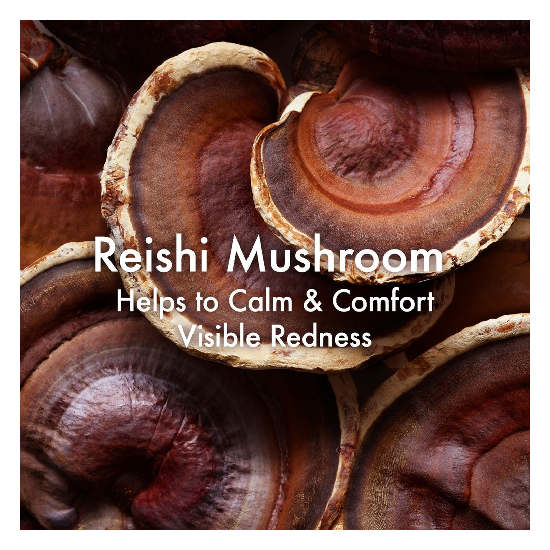 Origins Mega-Mushroom Relief & Resilience Advanced Face Serum