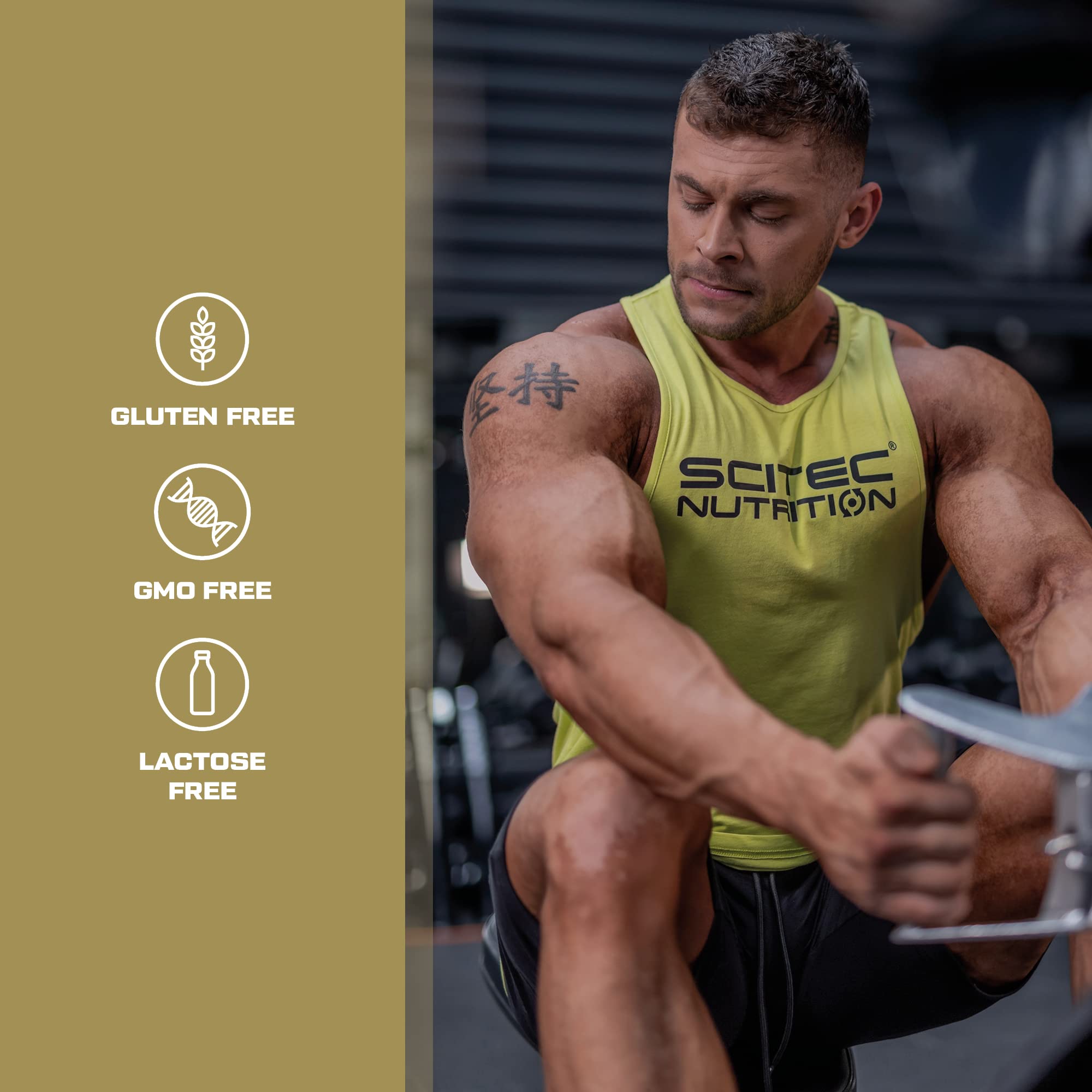 Scitec Nutrition Carni Complex – Advanced Amino Acid Derivative Formula – for Optimal Fat Metabolism – with L-Carnitine, 60 Capsules - Sense42 Beauty and Health