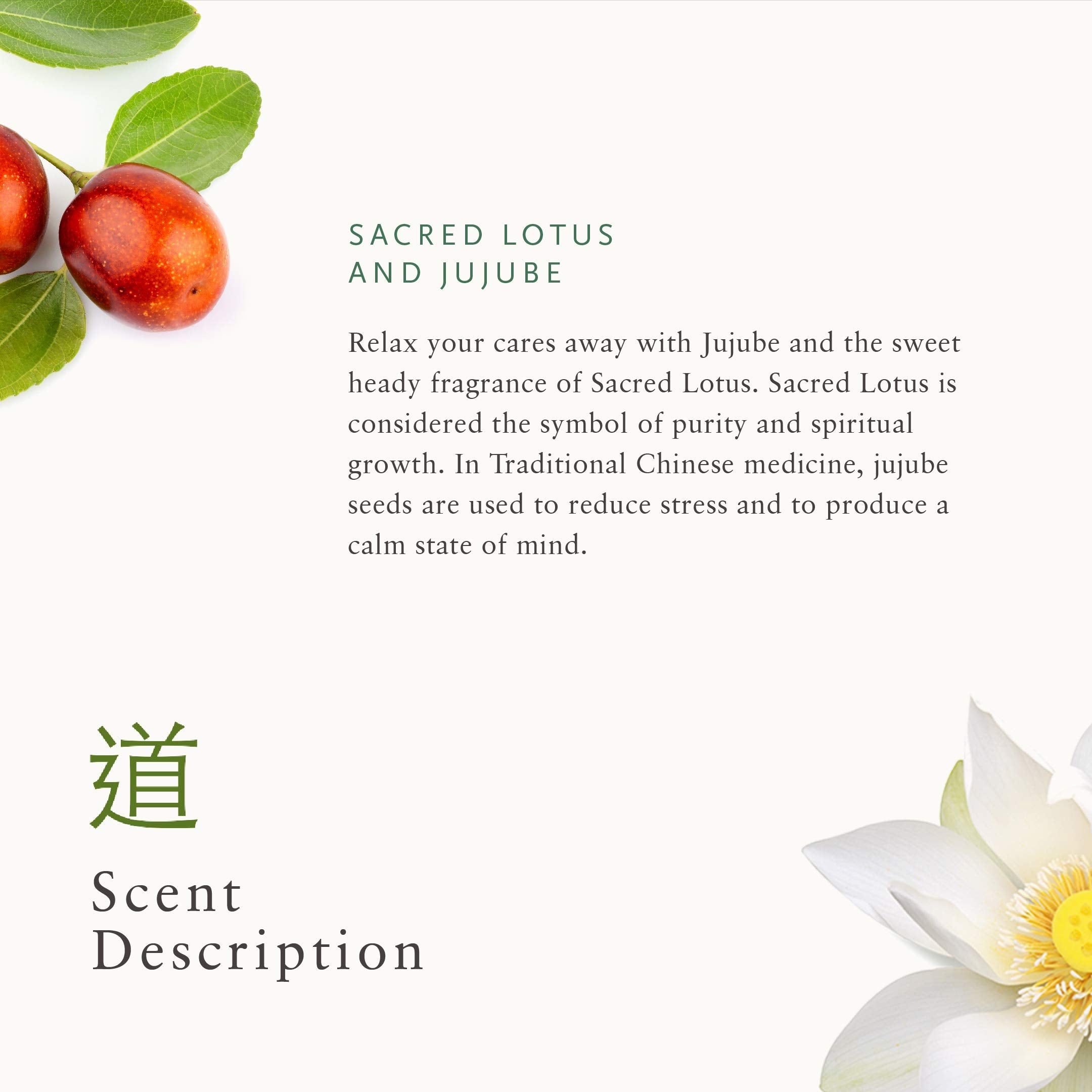 RITUALS The Ritual of Jing Try Me Set - Sense42 Beauty and Health