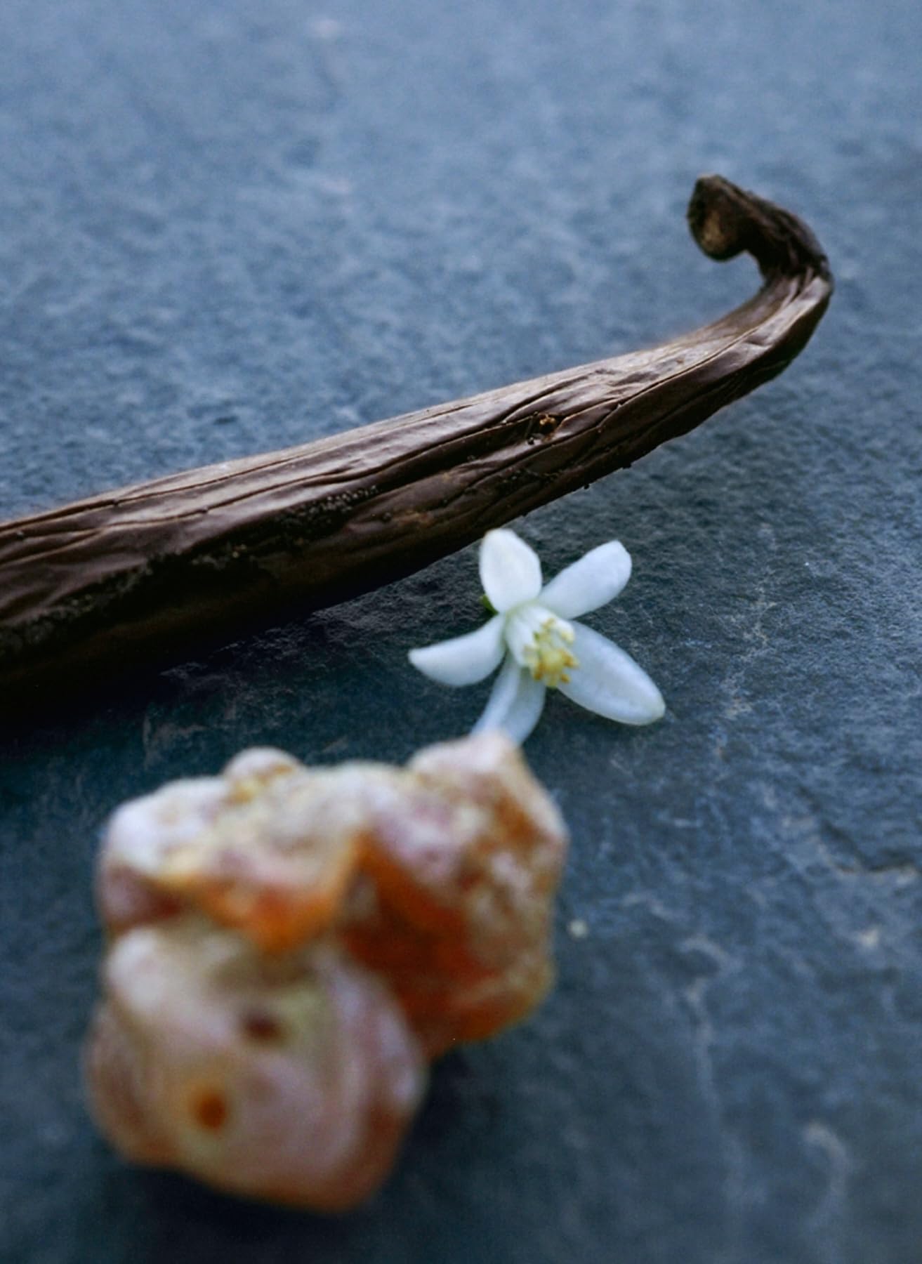 Chloe Nomade Nuit d'Egypte Eau de Parfum 75ml