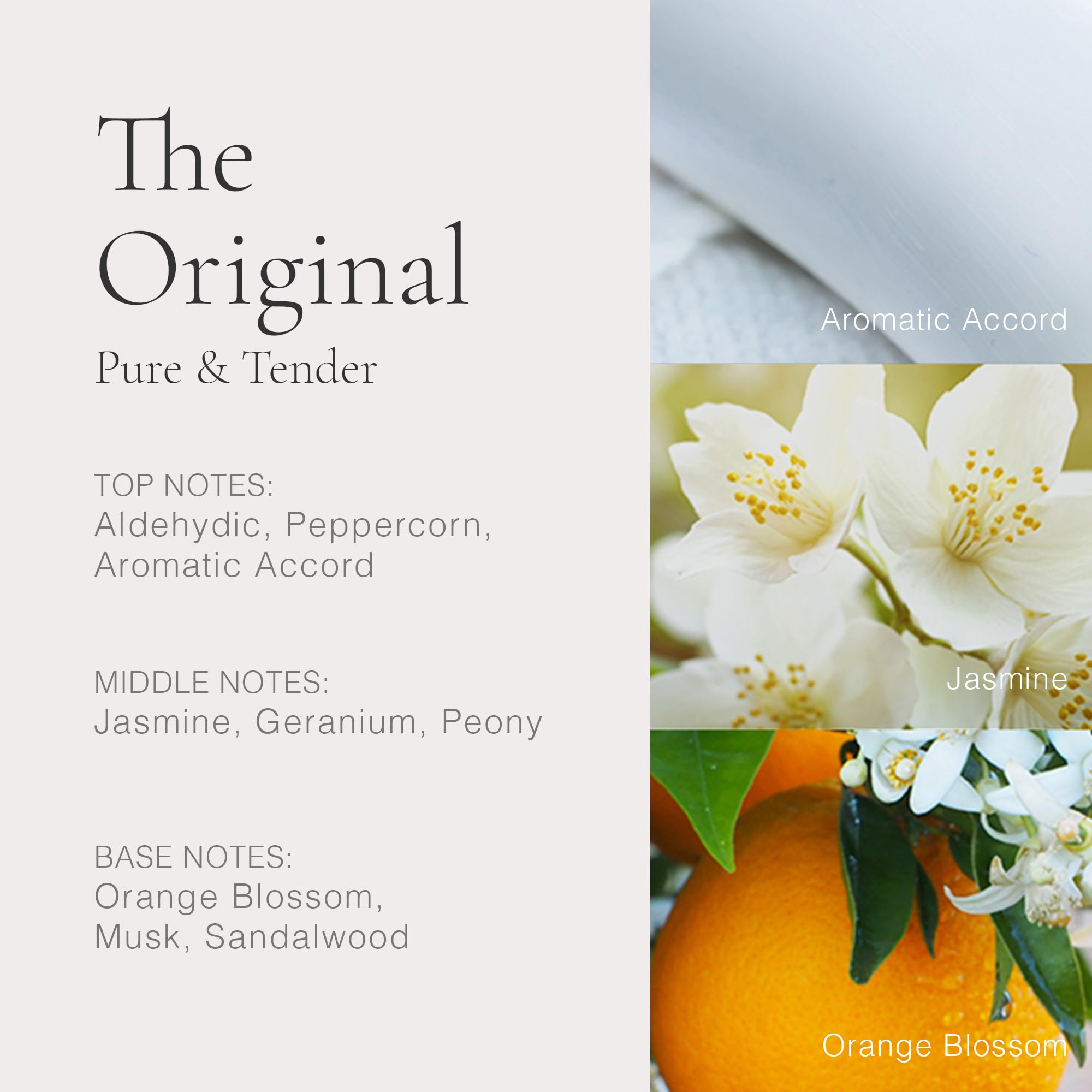 Classic The Original by Clean for Women - 1 oz EDP Spray - Sense42 Beauty and Health