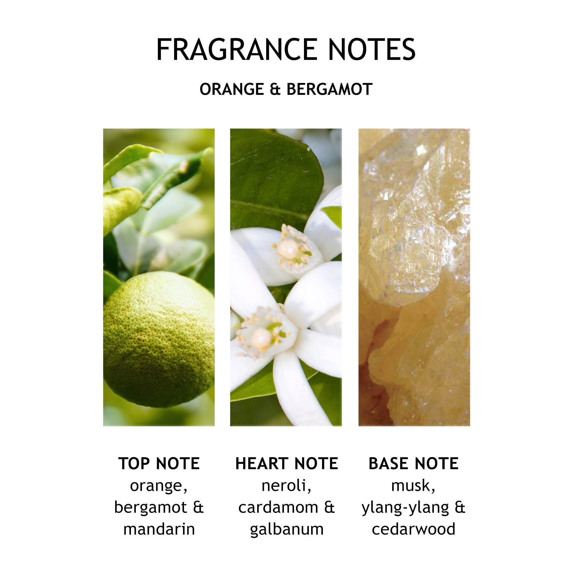 Molton Brown Orange and Bergamot Fine Liquid Hand Wash, 300ml - Sense42 Beauty and Health