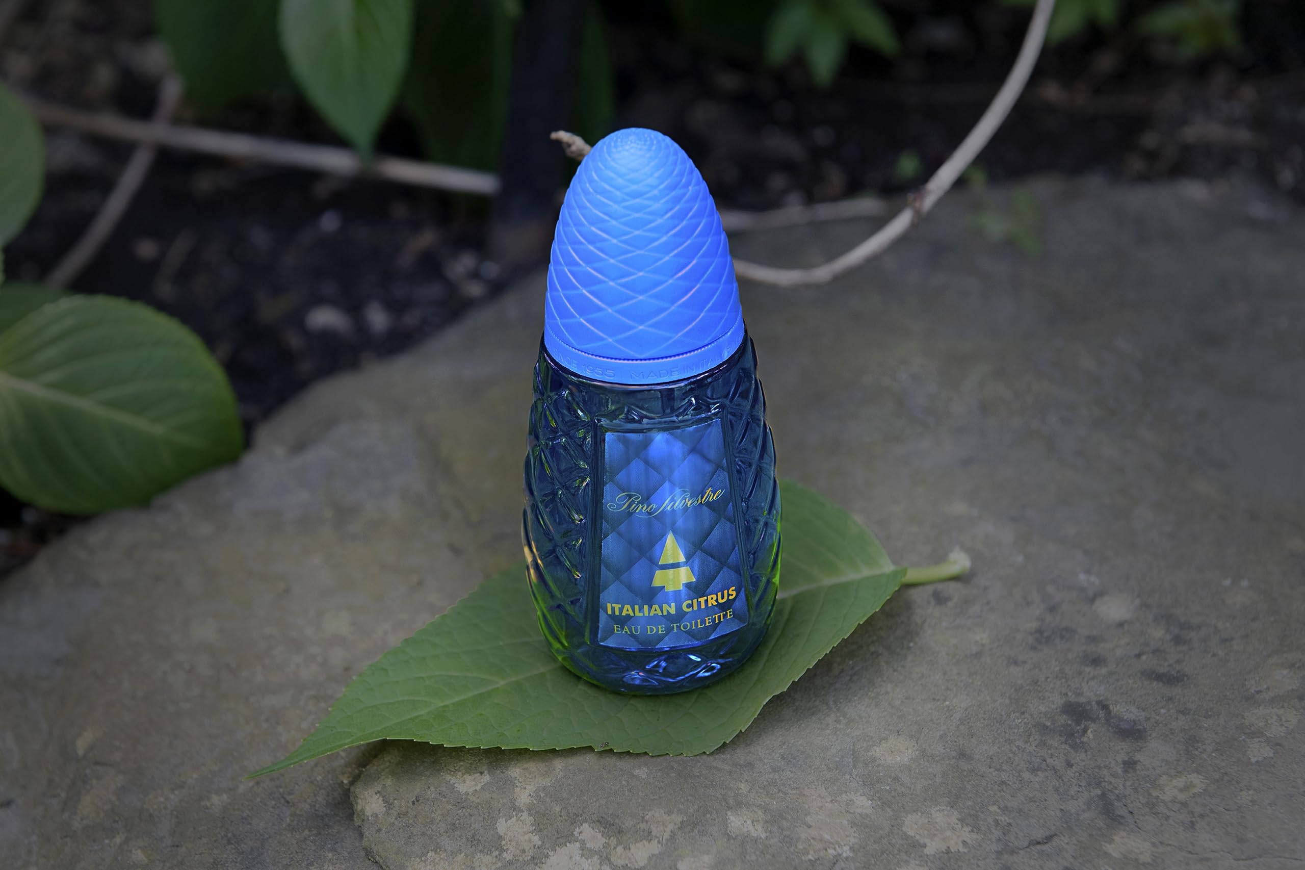 Pino Silvestre Italian Citrus Eau de Toilette 125ml - Sense42 Beauty and Health