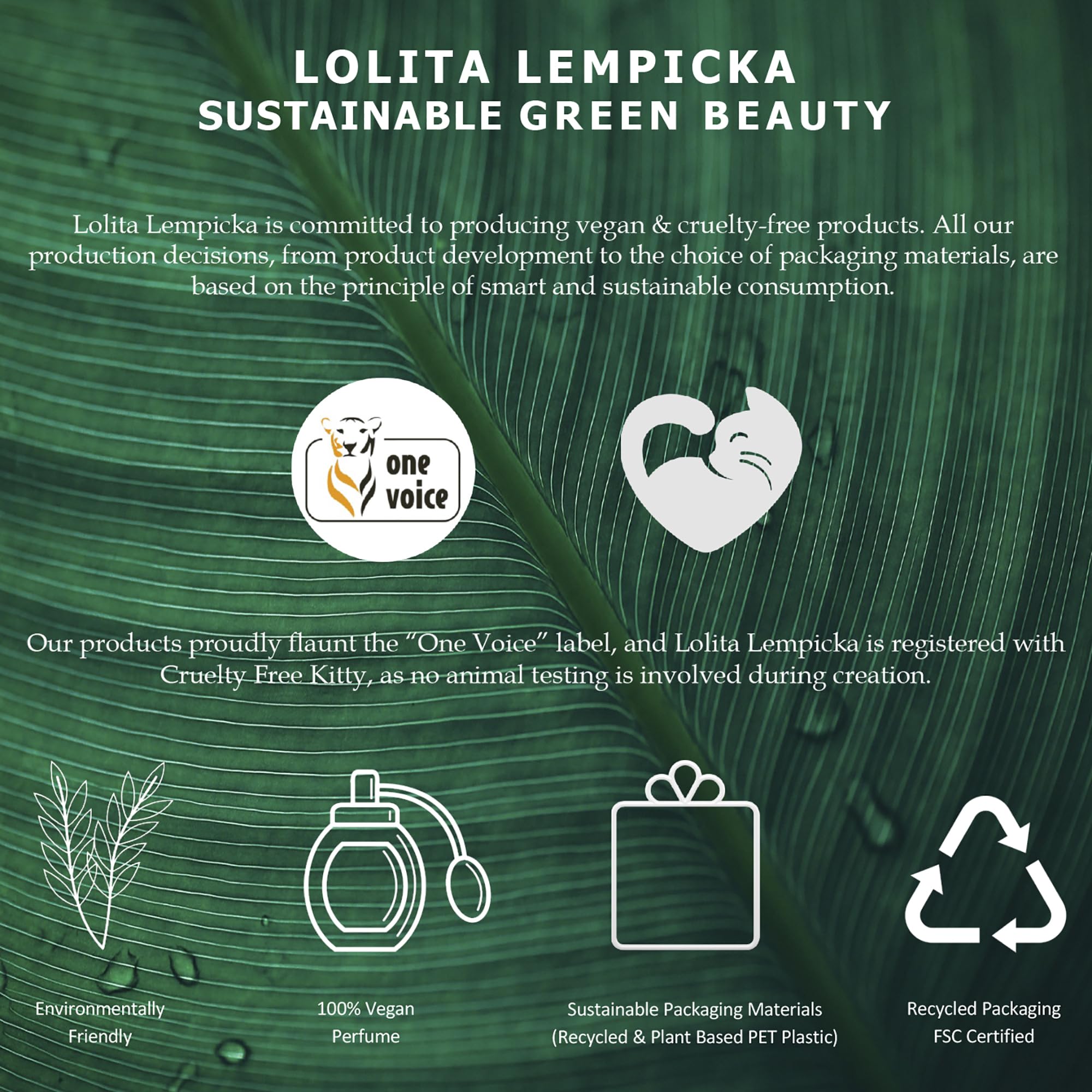 Lolita Lempicka Lolitaland For Women 2.7 Oz Edp Spray,80 ml / 2.7 oz - Sense42 Beauty and Health