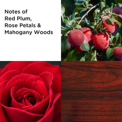 Elizabeth Arden Always Red Eau de Toilette, 100ml, Floral Oriental Fragrance, Luxury Perfume for Women - Sense42 Beauty and Health