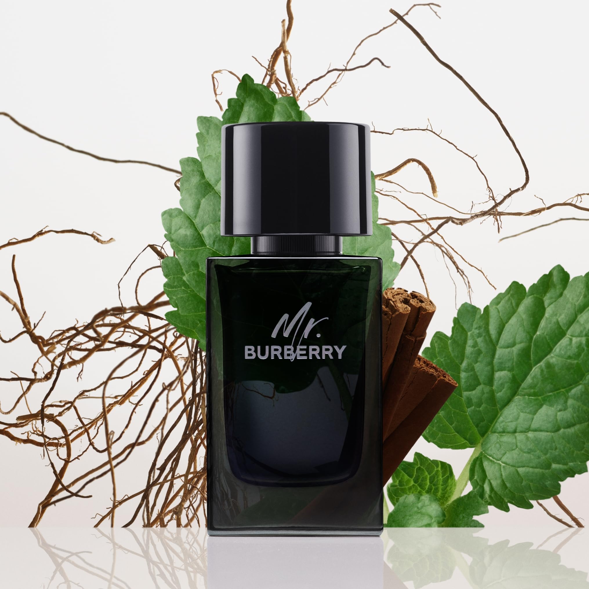 BURBERRY Eau De Parfum for Men, 100 ml