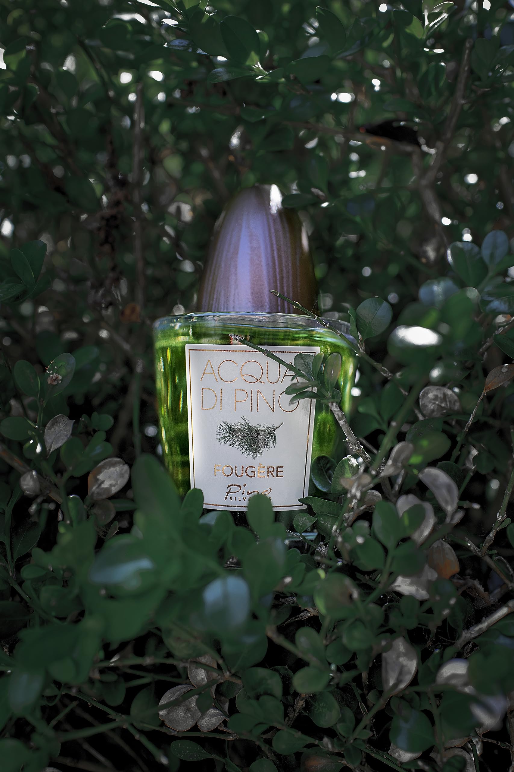 Pino Silvestre Acqua di Pino Fougere Eau de Toilette 125ml Spray - Sense42 Beauty and Health