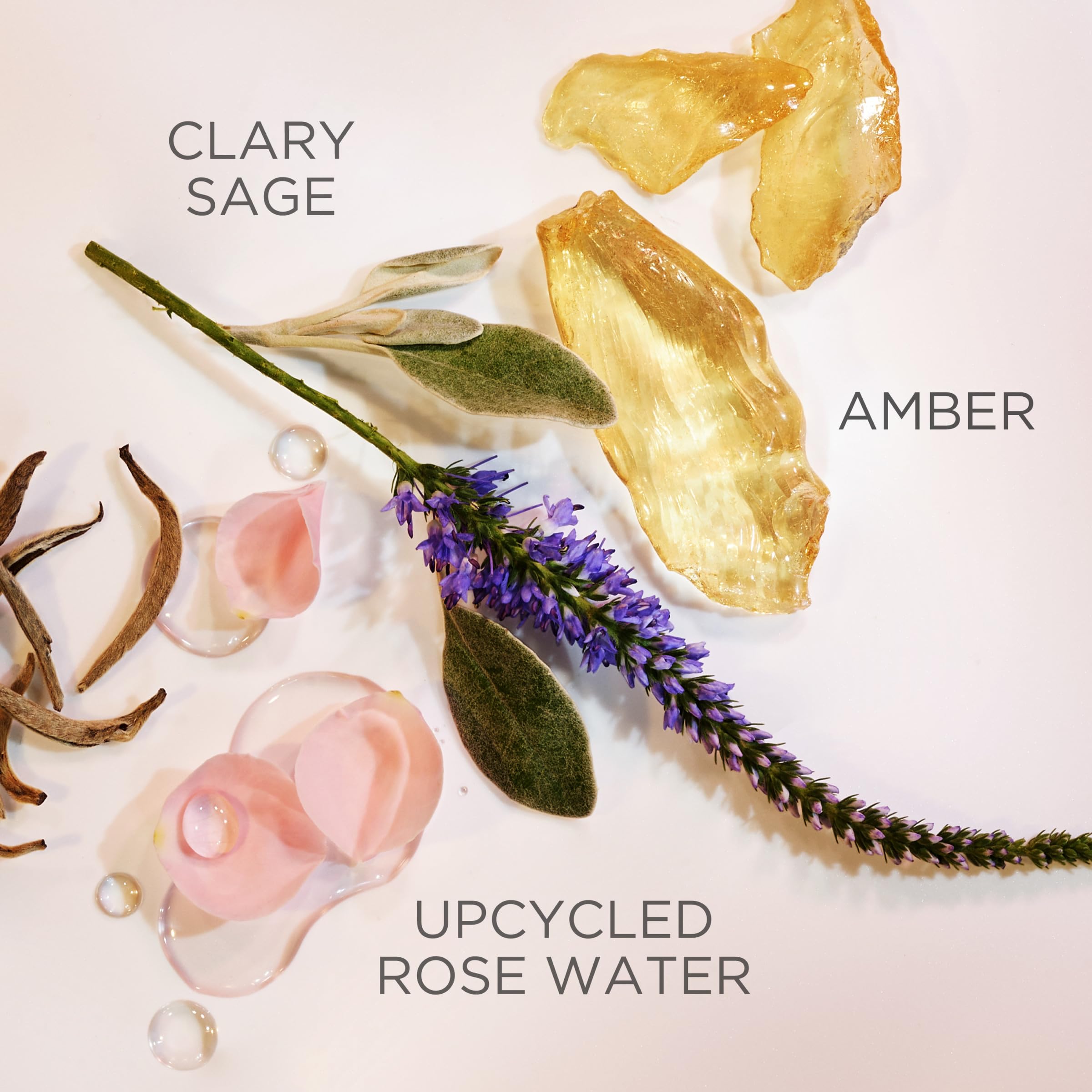 Elizabeth Arden White Tea Eau de Parfum 50ml Spray - Sense42 Beauty and Health