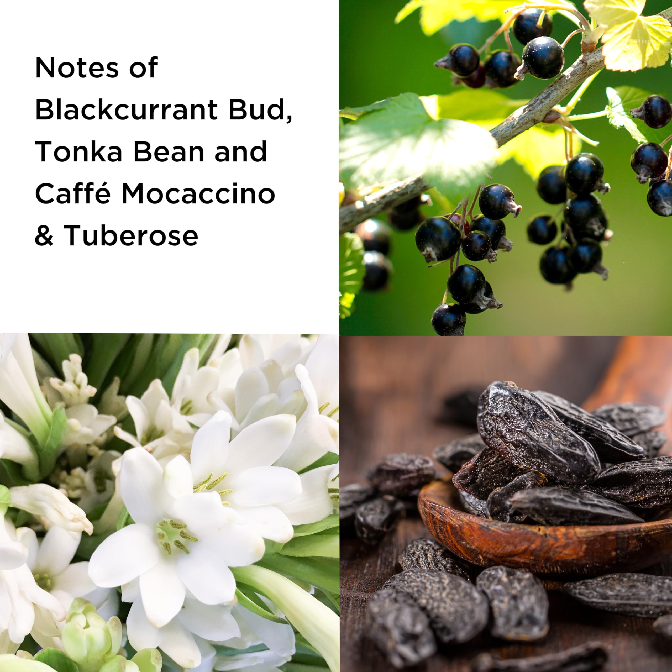 Elizabeth Arden 5th Avenue NYC Pulse Eau de Parfum 75ml Spray - Sense42 Beauty and Health