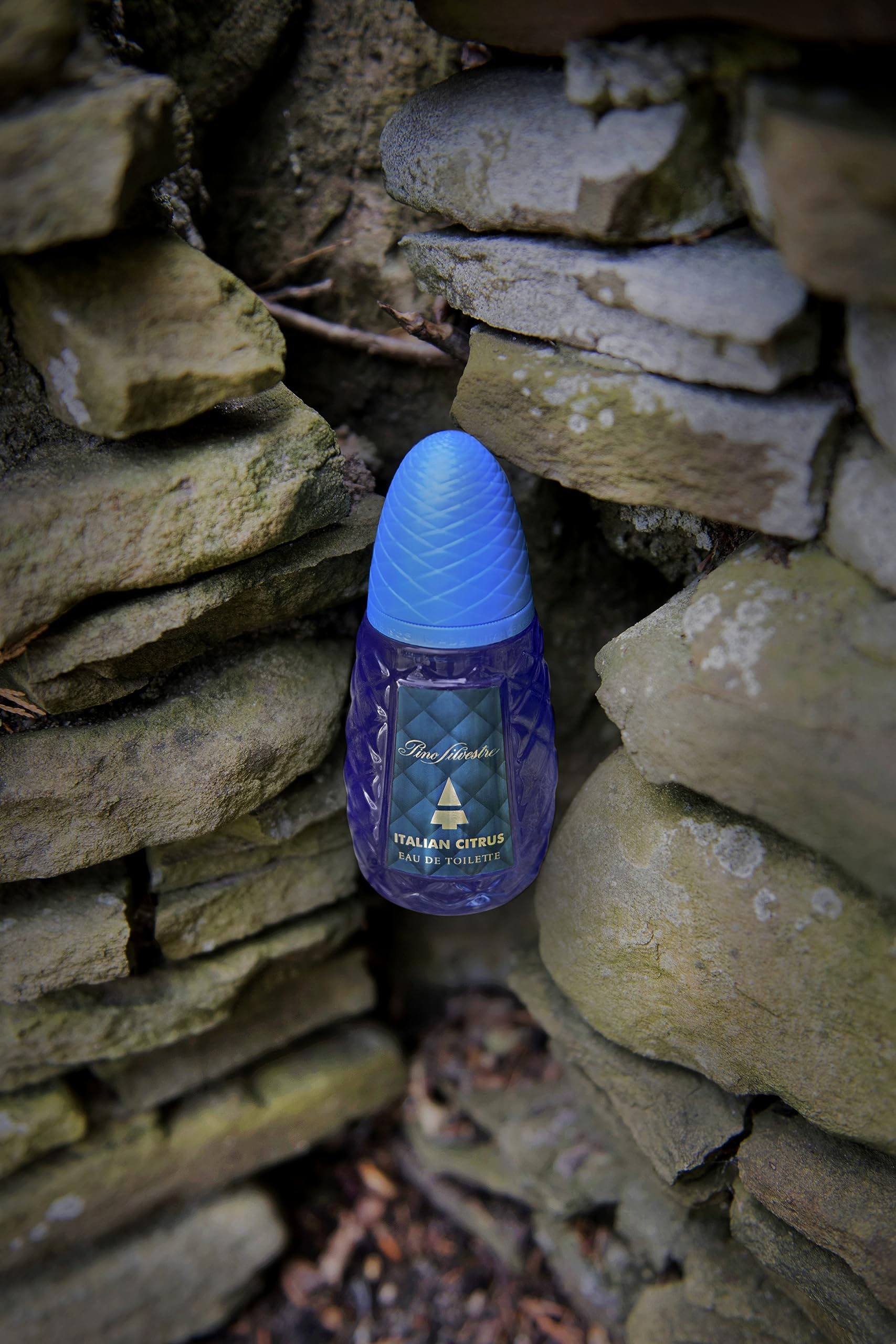 Pino Silvestre Italian Citrus Eau de Toilette 125ml - Sense42 Beauty and Health