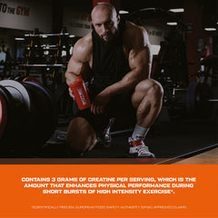 Scitec Nutrition Jumbo Hardcore, 1530 g, Banana Yogurt - Sense42 Beauty and Health