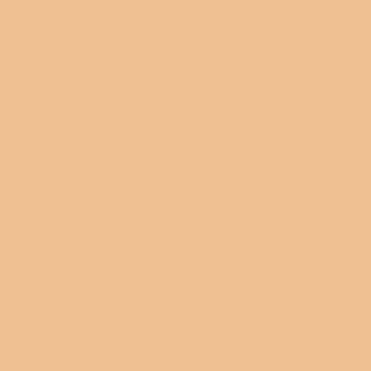 NARS Radiant Creamy Concealer, Chantilly