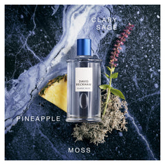 David Beckham Classic Blue Eau de Toilette 100ml Spray - Sense42 Beauty and Health