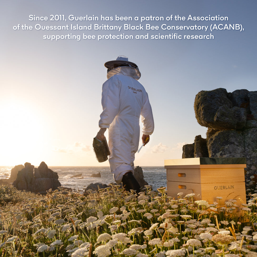 GUERLAIN Abeille Royale Youth Watery Oil Serum - Sense42 Beauty and Health