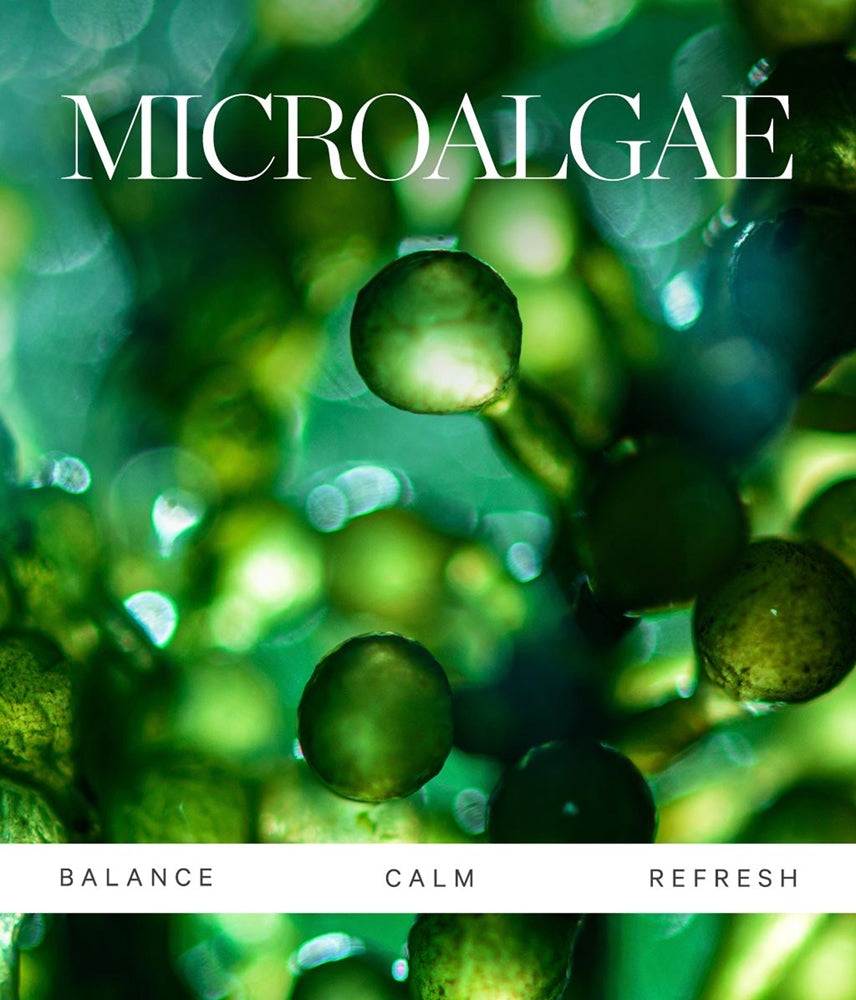 KORA Organics Active Algae Lightweight Moisturizer