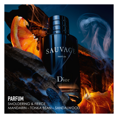 DIOR Sauvage Parfum Spray 60ml - Sense42 Beauty and Health