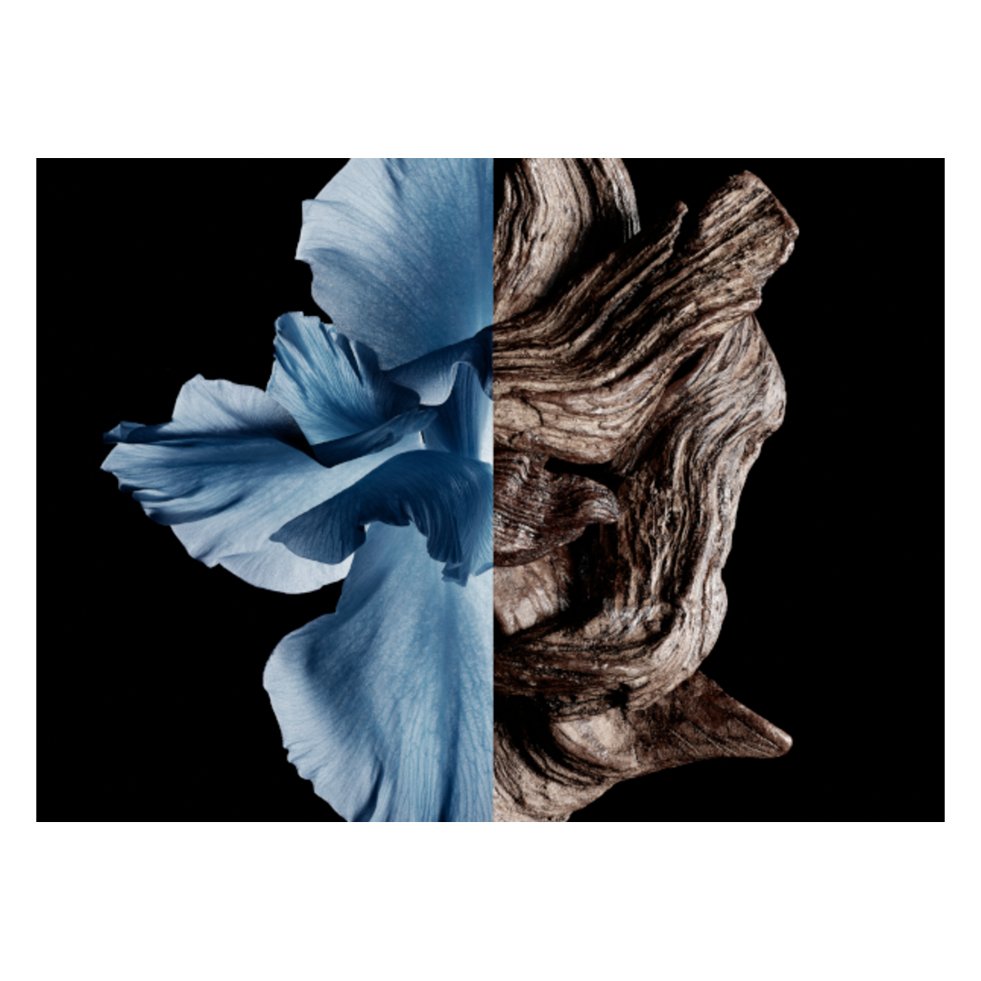 GIVENCHY Gentleman Eau de Toilette Intense Spray - Sense42 Beauty and Health