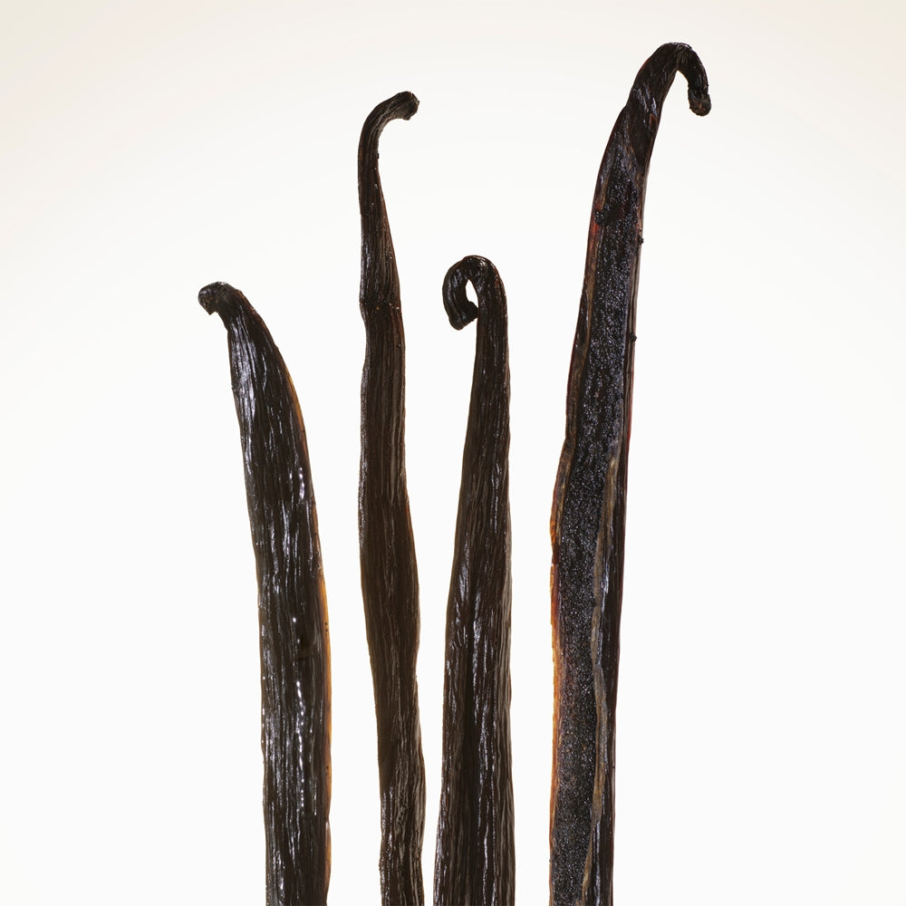 Burberry Goddess Intense