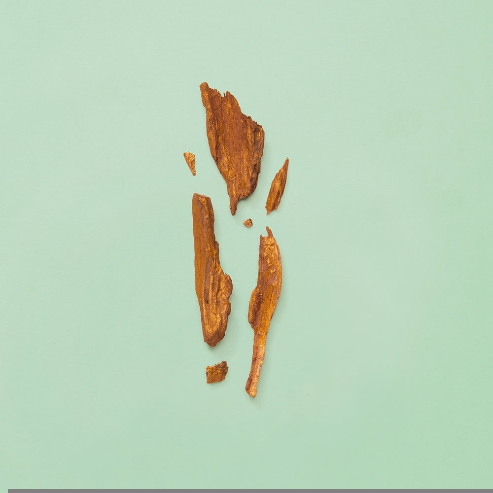 Gucci Guilty Absolute Eau de Parfum 50ml