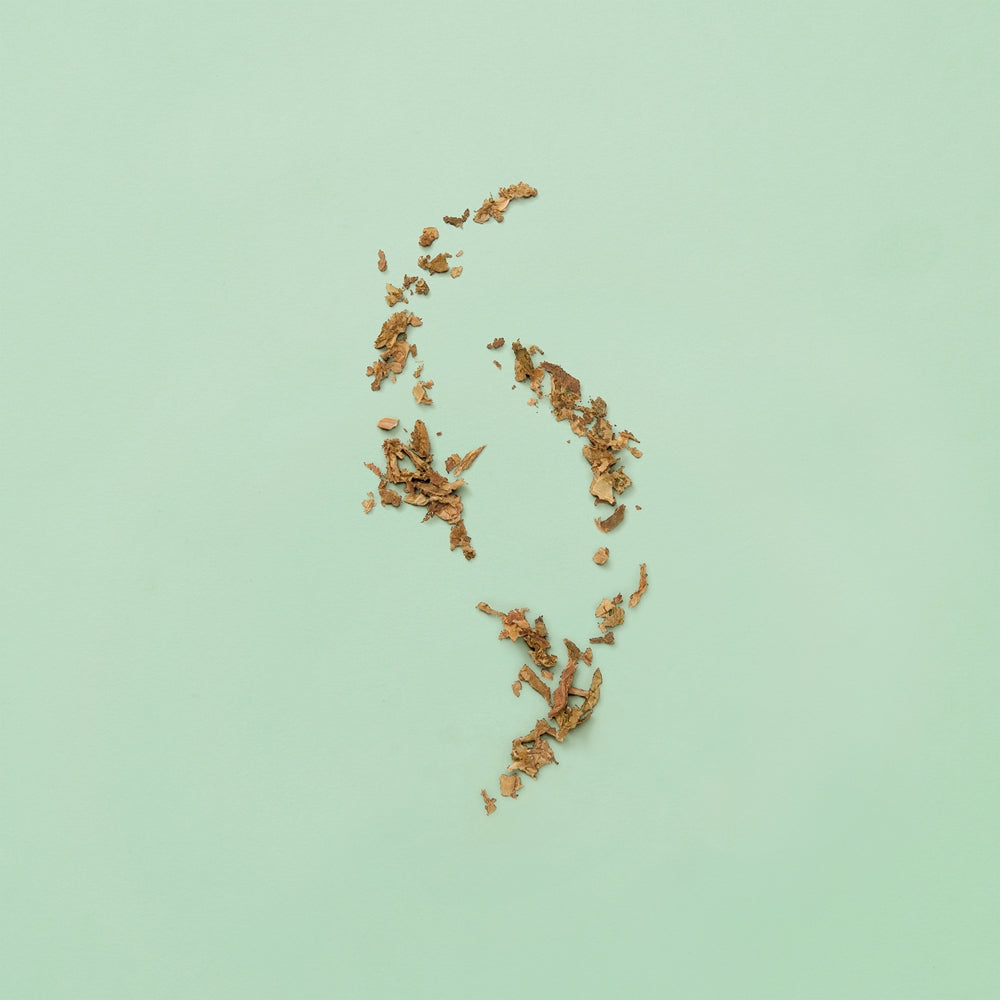 Gucci Guilty Absolute - Sense42 Beauty and Health