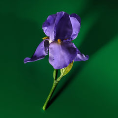 Gucci Guilty Pour Homme