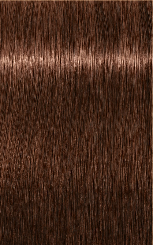 Schwarzkopf Professional IGORA Royal - shade 6-68 Dark Brown Chocolate Red 60 ml