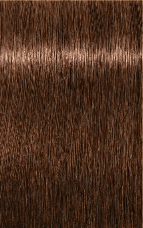 Schwarzkopf Professional IGORA Royal - shade 6-6 Dark Blonde Chocolate 60 ml