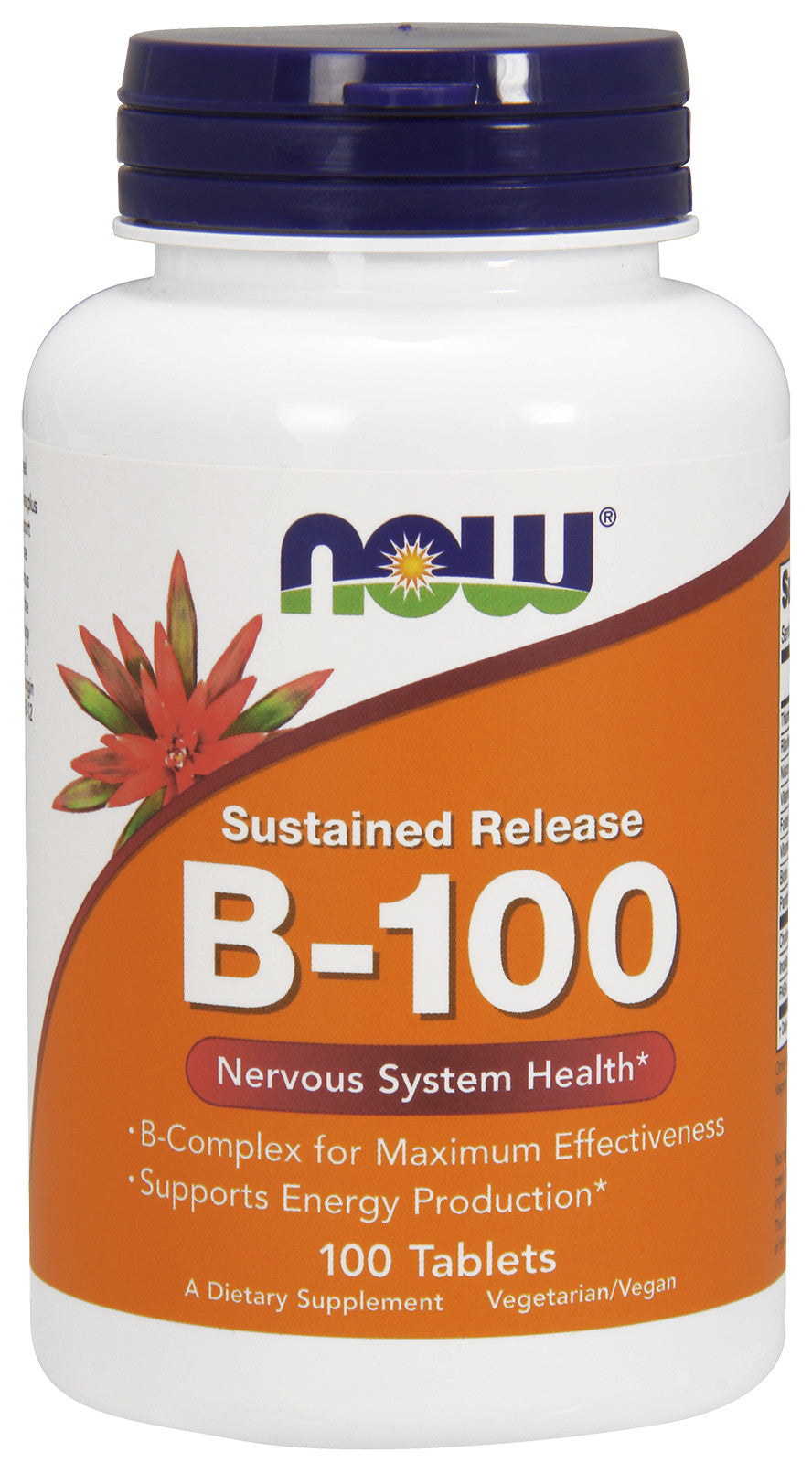 Vitamin B-100 Sustained Release - 100 tabs - Sense42 Beauty and Health