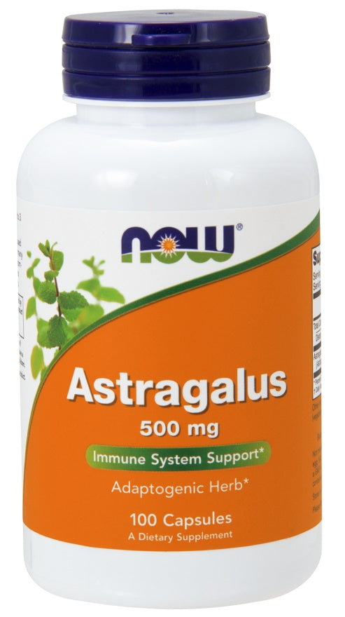 Astragalus, 500mg - 100 caps - Sense42 Beauty and Health