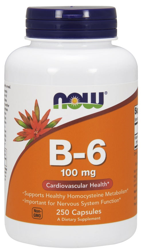 Vitamin B-6, 100mg - 250 caps - Sense42 Beauty and Health