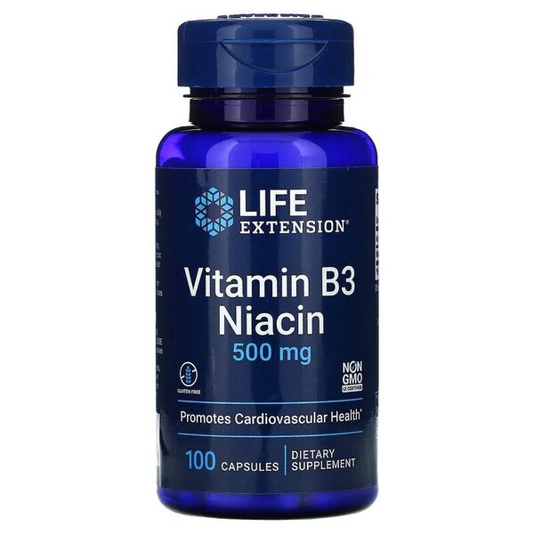 Vitamin B3 Niacin, 500mg - 100 caps - Sense42 Beauty and Health