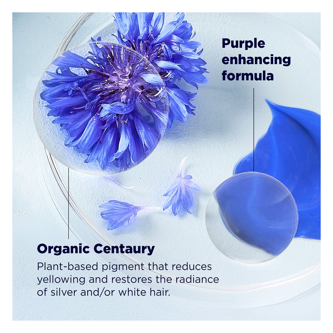 Klorane Centaury Anti-Yellowing Conditioner for Grey and Blonde Hair - Sense42 Beauty and Health