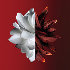 GIVENCHY L’Interdit Rouge