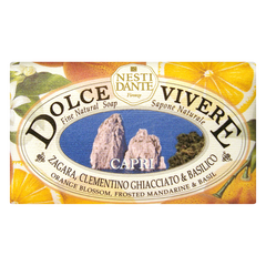 Nesti Dante Dolce Vivere Capri Soap - Sense42 Beauty and Health