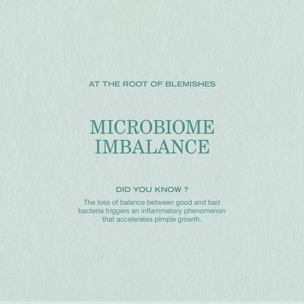 Payot Pâte Grise Gelée Nettoyante