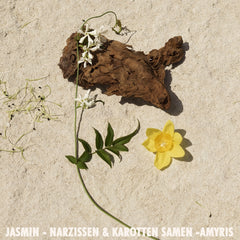 Jil Sander Sun Eau de Parfum - Sense42 Beauty and Health