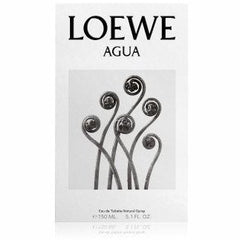 Loewe Agua de Loewe Eau de Toilette 100ml Spray