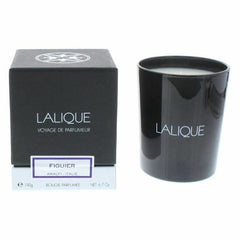 Lalique Candle 190g - Figuier Amalfi